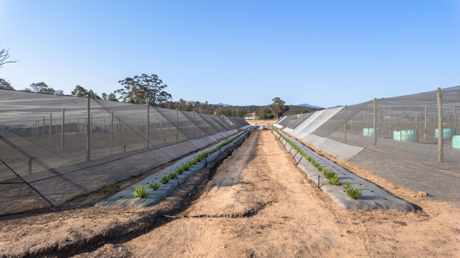 Commercial Property for Sale in Kraaibos Western Cape